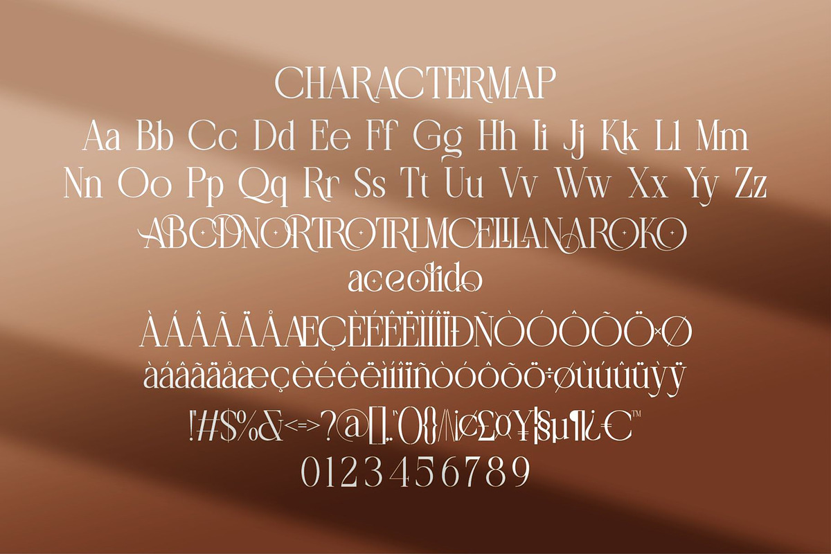 Relindo || Modern Stylish Serif Font, a Serif Font by Ermedia Studio (Photo 8 of 10)