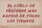 Tigreal Rough, a Slab Serif Font by Craft Supply Co. (Thumbnail 7 of 8)