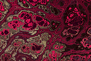 20 burgundy marble textures 64 mp, a Texture Graphic by tkdesign (Thumbnail 17 of 21)