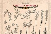 Autumn Harvest, a Seasonal Illustration by Ink Stories (Thumbnail 9 of 26)