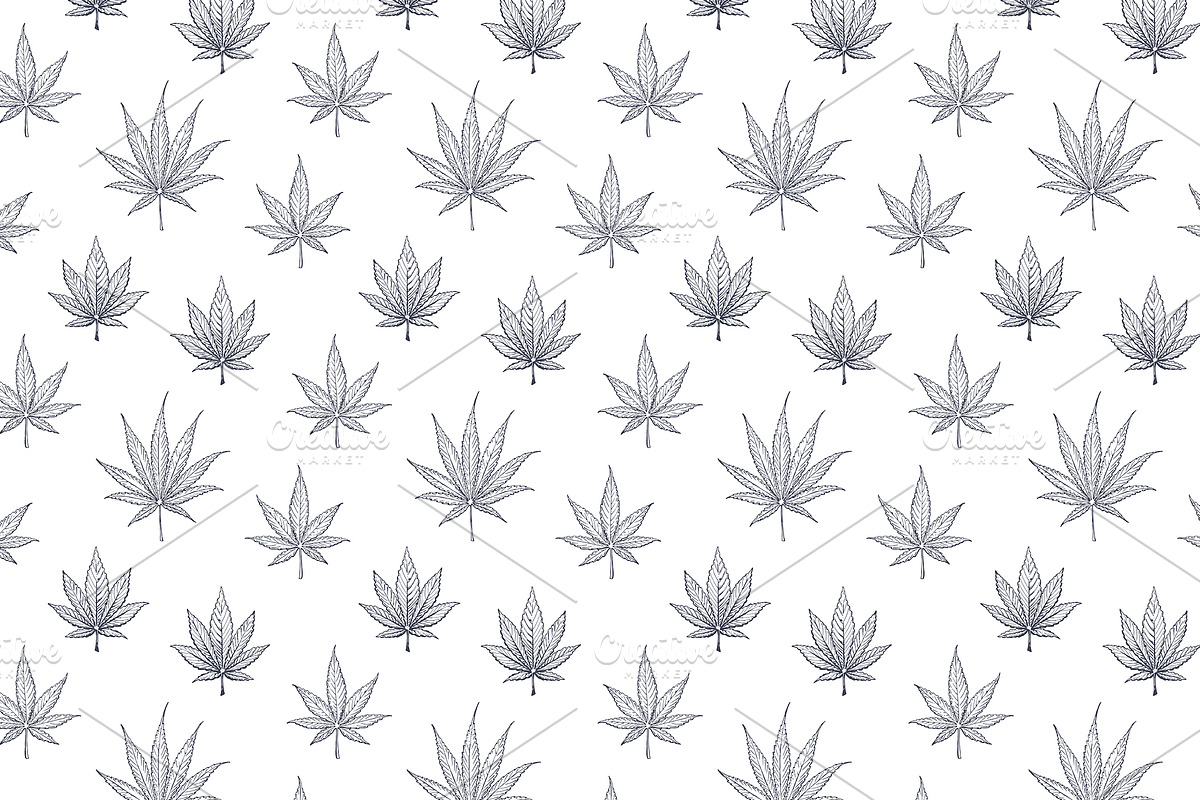 Weed. Stoner gadgets & accessories, a Healthcare Illustration by Margo Miller (Photo 9 of 45)