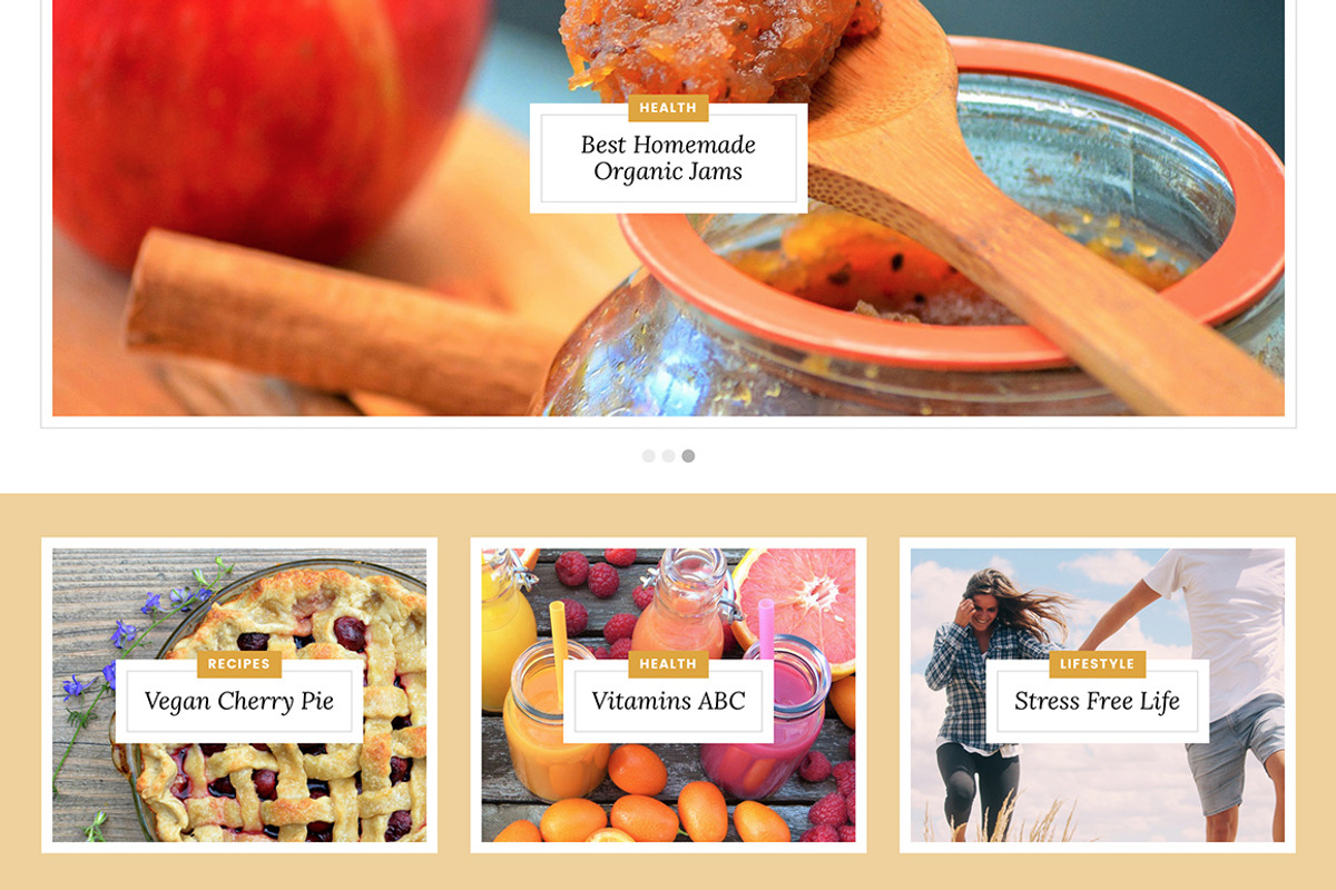 Delicious Tumblr Theme, a Websites & App Template by Themelantic (Photo 2 of 6)