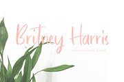 Bastelory Modern Script Font, a Script Font by Giant Design (Thumbnail 5 of 10)