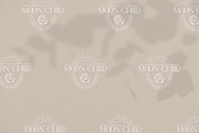 Abstract logo elements & frames, a Branding & Logo Template by Michèle Kae (Thumbnail 2 of 10)