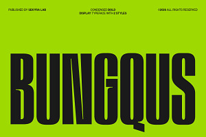 Bungqus - Condensed Display Font, a Sans Serif Font by Sekyra Lab