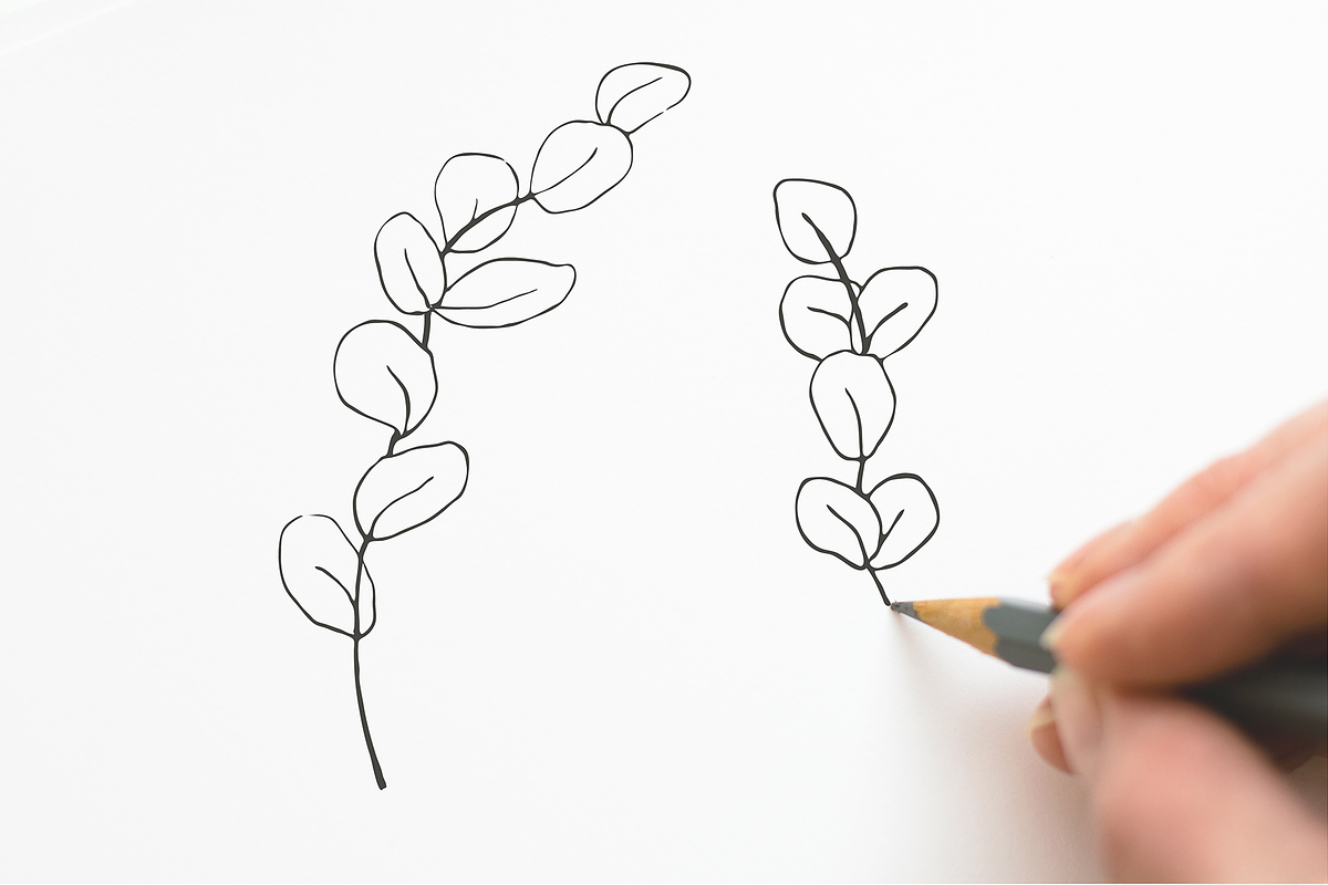 Botanical shapes, organic forms, a Decorative Illustration by JuDesign (Photo 5 of 11)