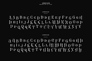 Evertype - Display Serif Font Family, a Serif Font by VP Fonts (Thumbnail 27 of 32)
