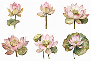 Watercolor Lotus Clipart, an Illustration by Libby Wishes (Thumbnail 5 of 7)
