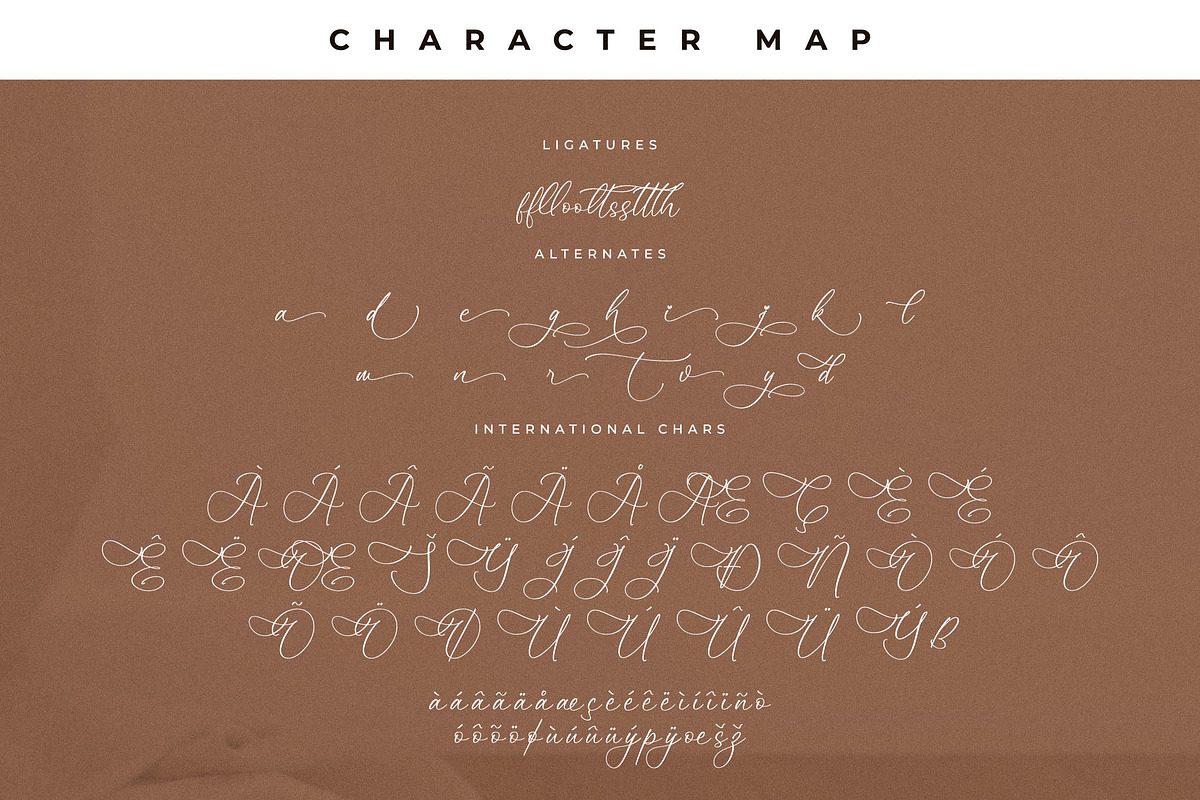 Promises Gisttela Font Duo, a Serif Font by Storytype Studio (Photo 14 of 15)