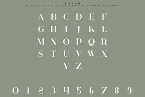 Huova Serif Typeface 8 Fonts