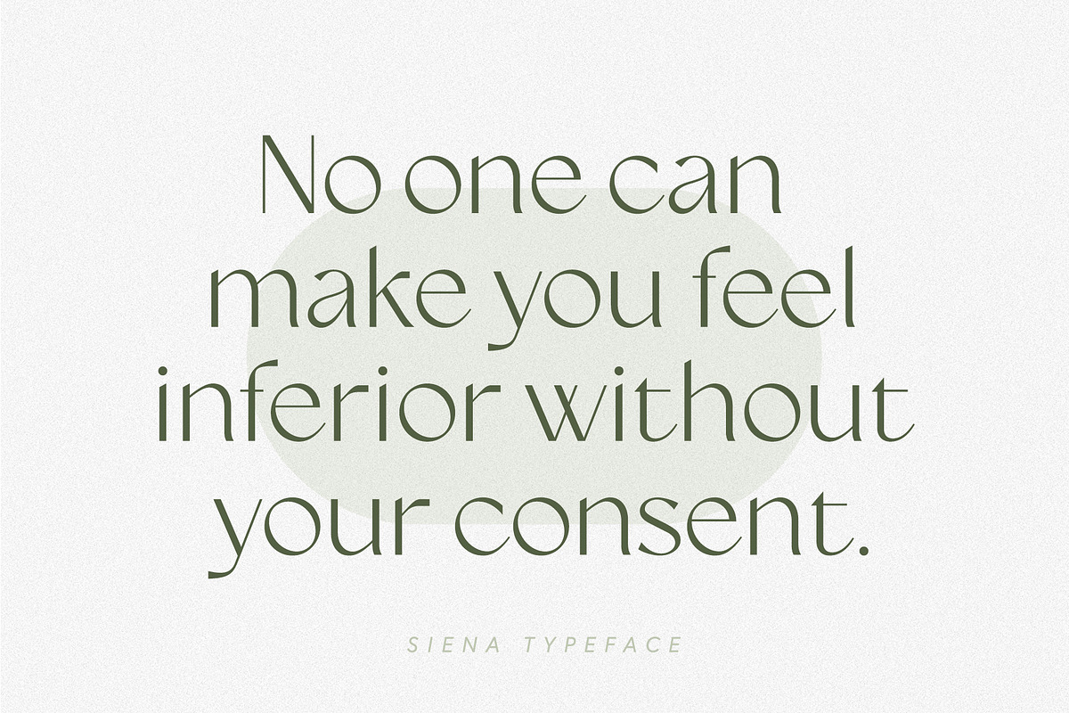 Siena Typeface, a Sans Serif Font by Ivan Rosenberg (Photo 4 of 16)