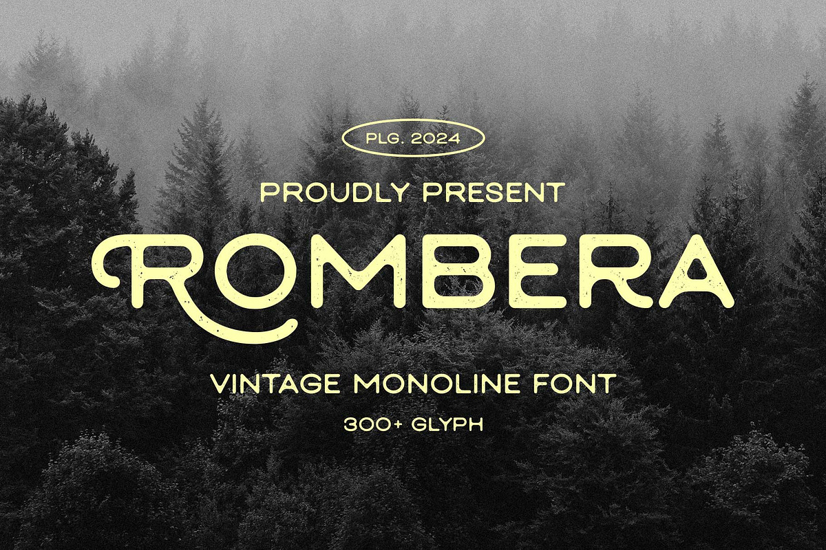 Rombera - Vintage Monoline, a Sans Serif Font by Arterfak Project (Photo 1 of 13)