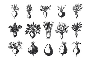 Vegetables Celery Potatoes Fennel, a Food Illustration by LadadikArt