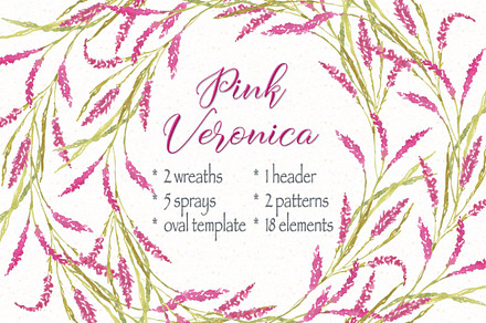 Pink Veronica Watercolor Clip Art