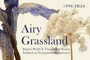 Airy Grassland — Papery Petals & Tra, an Object Graphic by Aga Silva (Thumbnail 6 of 7)
