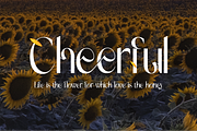 Gradually Reduced Font, a Serif Font by 177Studio (Thumbnail 5 of 7)