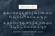 Renegade - Hand Painted Signature, a Script Font by Hustle Supply Co. (Thumbnail 8 of 8)