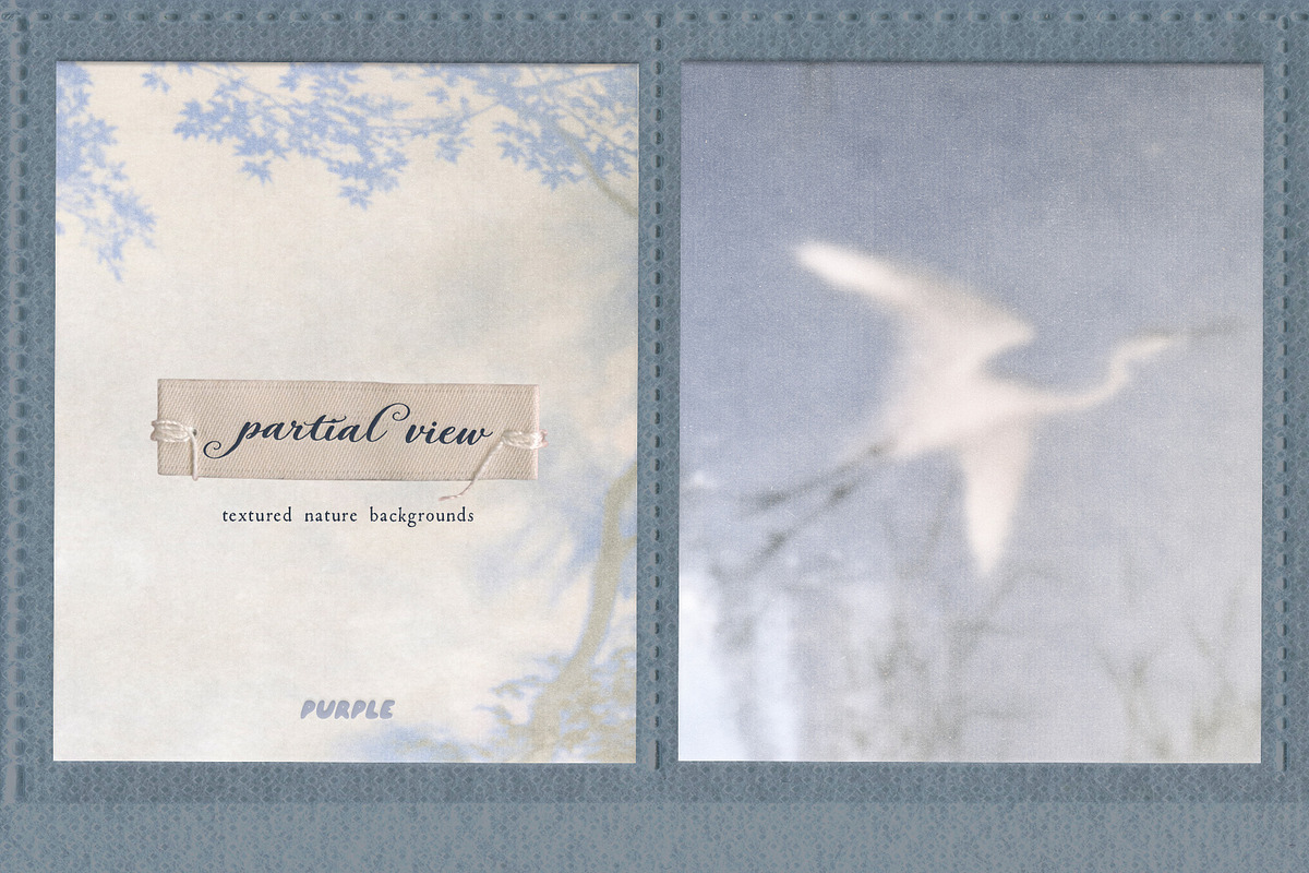 Partial View - Nature Backgrounds, a Background Graphic by Purple (Photo 9 of 12)