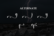 Winter Lightning | Script Font, a Handwritten Font by Scratchones (Thumbnail 8 of 9)