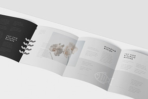 Roll-Fold Brochure Mockup - Square