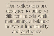 Sandis Elegant Serif Font, a Serif Font by Perfectype (Thumbnail 6 of 8)