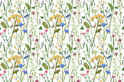 Meadow herbs and flowers, a Decorative Illustration by handsketched (Thumbnail 5 of 7)