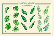 Tropical Botanical Watercolor, an Illustration by LazyArtyCat (Thumbnail 3 of 5)