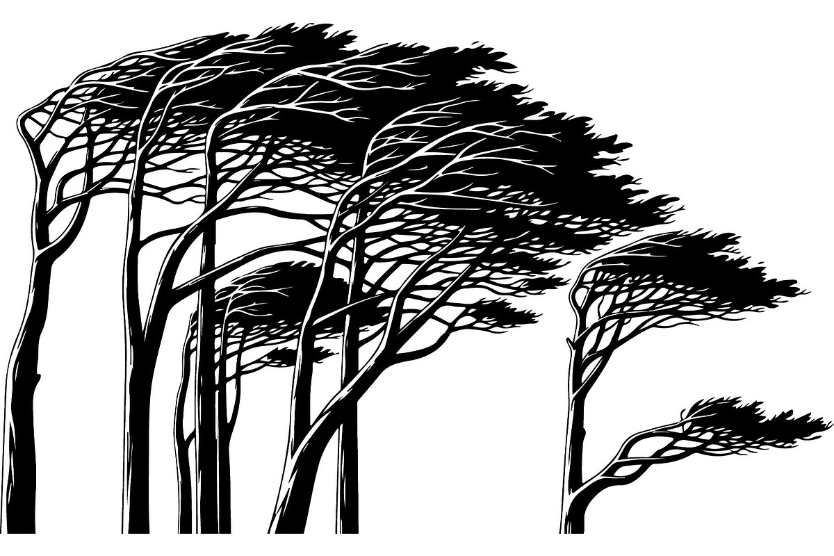 Bring the beauty of the outdoors, an Object Graphic by Designer_Momina (Photo 11 of 15)