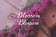 Whimsy Amore Handdrawn Ligatures, a Handwritten Font by SunnyAfternoons (Thumbnail 4 of 12)