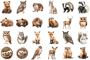 Watercolor Forest Animals - Woodland, an Illustration by Sublimation Artist (Thumbnail 2 of 6)