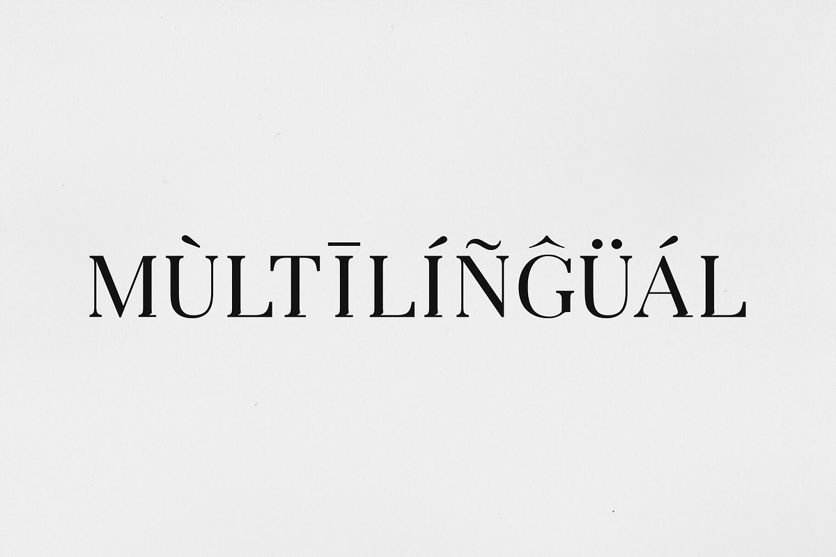 Arterio Font Family - Serif preview 4