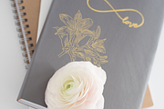 HandDrawn Flower Library, an Illustration by Linseed Studio (Thumbnail 4 of 10)
