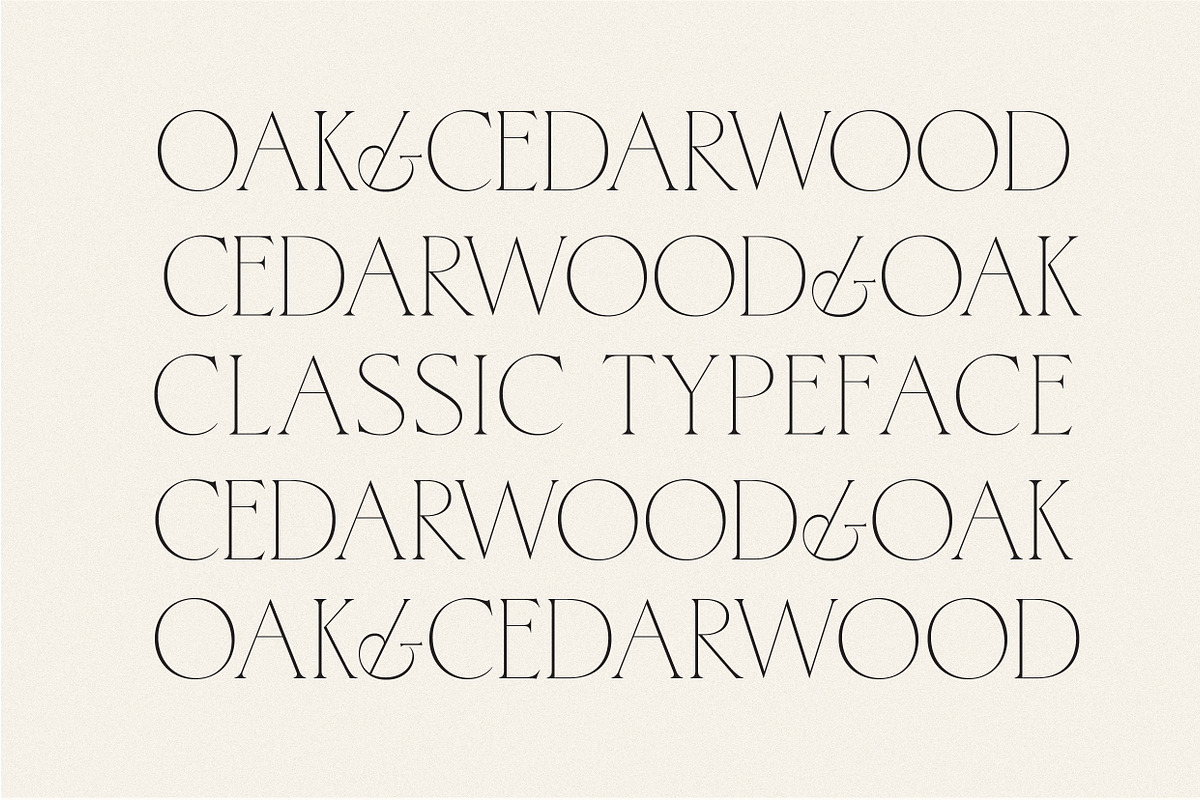Cedarwood - Classy Serif, a Serif Font by Harmonais Visual (Photo 3 of 19)