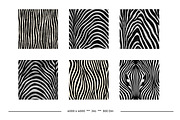 Zebra Skin Animal Print Patterns, a Pattern Graphic by karenfoleyphoto (Thumbnail 4 of 6)