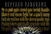 Repyakh Serif type family, a Serif Font by LevType (Thumbnail 9 of 14)