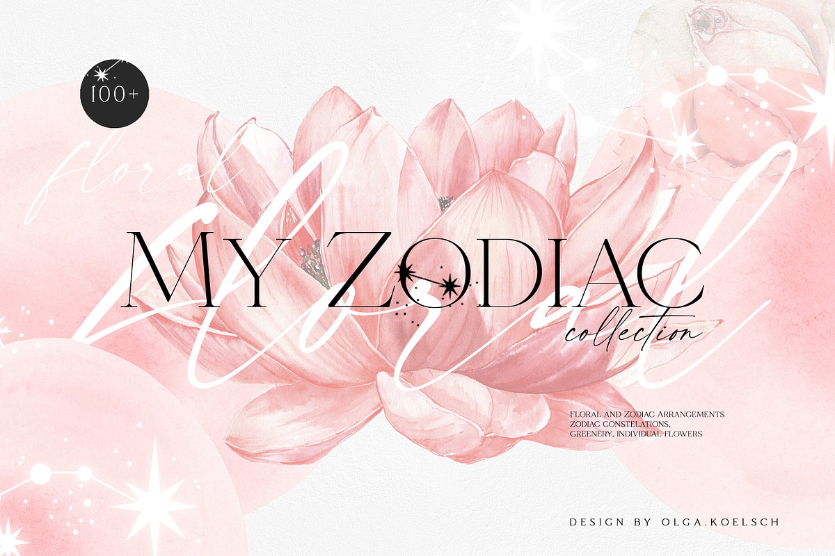 Big Bloom Bundle, an Object Illustration by Olga Koelsch (Photo 11 of 13)