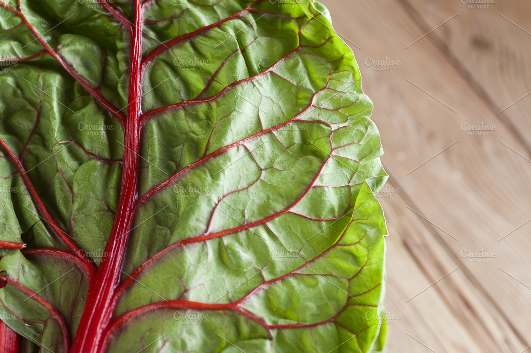Red Chard Leaf