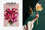 Bloom Atelier | 345 stock images, a Nature Photo by Tale.Haus (Thumbnail 10 of 20)