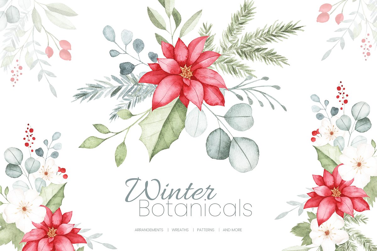 Winter Botanical Watercolor Set, a Decorative Illustration by Liliia Polos Illustration (Photo 1 of 10)