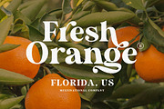 UPDATE! Duke Charming Bold Serif, a Serif Font by Letterhend Studio (Thumbnail 8 of 9)