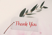 Arionna - Modern Calligraphy Font, a Script Font by StringLabs (Thumbnail 6 of 6)