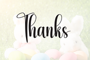 Easter Bunny | Script Font, a Handwritten Font by Scratchones (Thumbnail 9 of 9)
