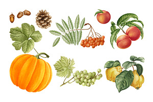 Set Of Watercolor Autumn Elements