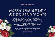 Baxoe | Elegant and Fancy Typeface, a Sans Serif Font by 160 Studio (Thumbnail 8 of 14)