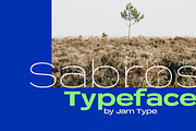 Sabrosa Family, a Sans Serif Font by JAM Type (Thumbnail 1 of 13)