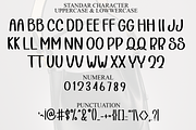Handbag, a Sans Serif Font by FreshTypeINK (Thumbnail 4 of 8)