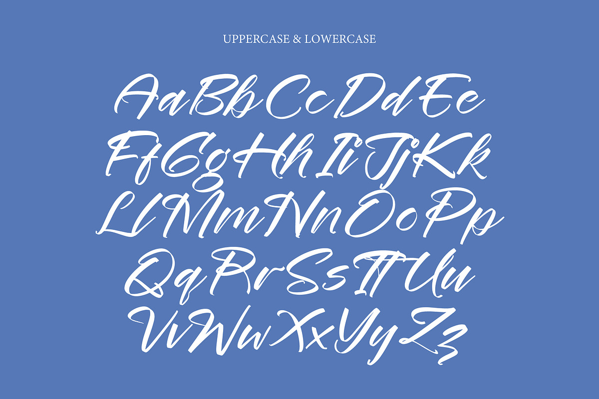 Festival Routes Modern Script Font, a Script Font by stylishtype.co (Photo 8 of 15)