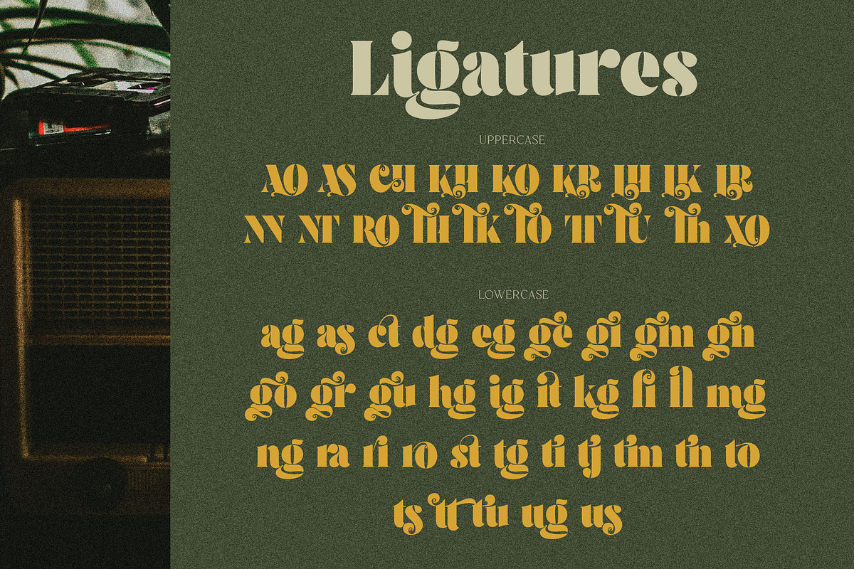 Brolike Typeface, a Serif Font by alit design (Photo 12 of 18)