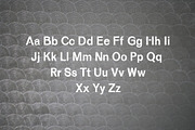 Beacher Sans Serif 6 Font Family, a Sans Serif Font by Creativetacos (Thumbnail 2 of 5)