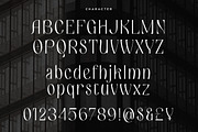 Glowsir | Modern Display, a Serif Font by Pentagonistudio (Thumbnail 8 of 10)